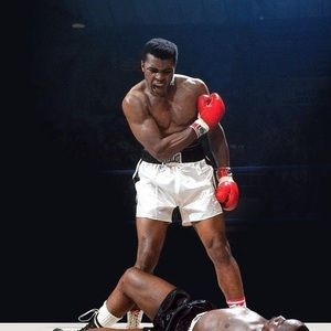 Meet your Posher, Noa